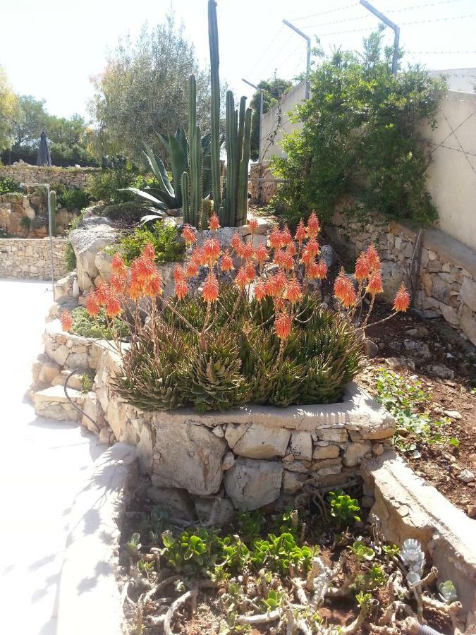 Villa Ca Del Mar Morciano di Leuca Ngoại thất bức ảnh