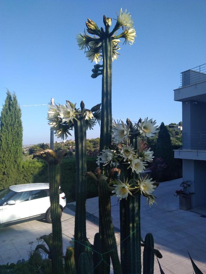 Villa Ca Del Mar Morciano di Leuca Ngoại thất bức ảnh